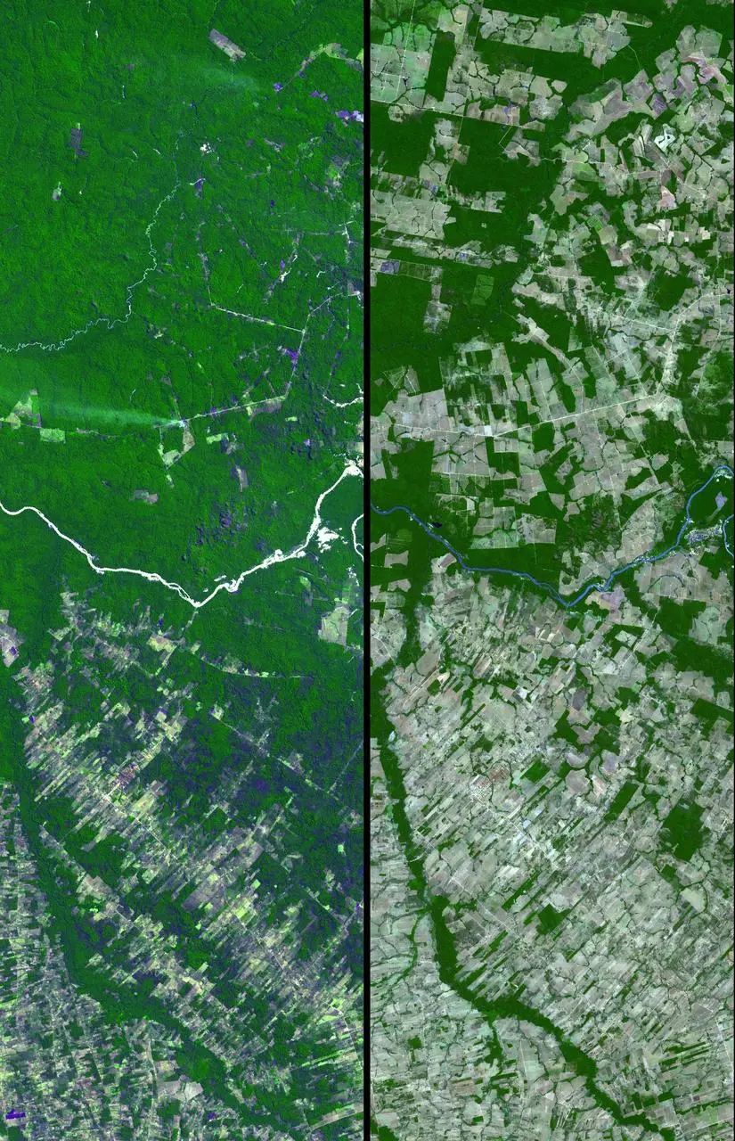 Duas imagens de satélite do Mato Grosso lado a lado, mostrando a floresta antes e depois do desmatamento